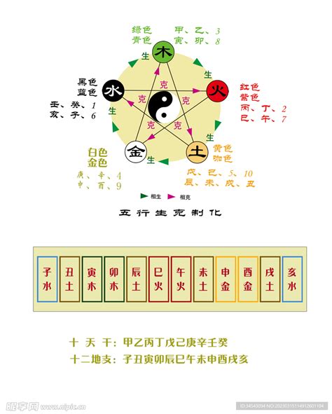 地支属性|十天干十二地支对应五行 十天干十二地支五行阴阳属性